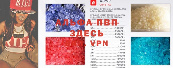 амф Верея