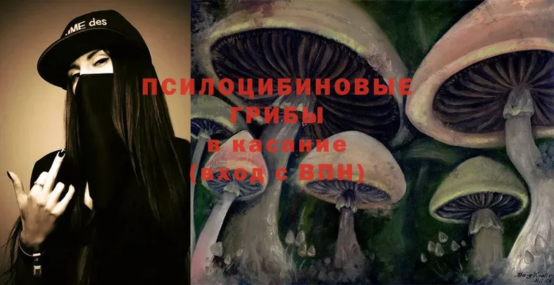 Галлюциногенные грибы Cubensis  mega ONION  Костерёво 